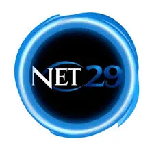 NET29 - Tantangan Puzzle Seru untuk Semua Usia